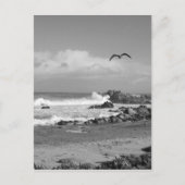 Pazifischer Grove Storm in Schwarz und Weiß Postkarte (Vorderseite)