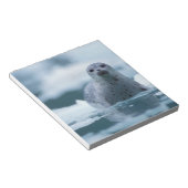 Pazifischer Hafen Siegel, Phoca vitulina richardsi Notizblock (angewinkelt)