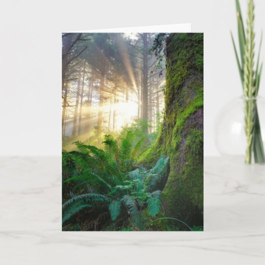 Pazifischer Küstenwald, Oregon Karte (Vorderseite)