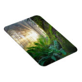 Pazifischer Küstenwald, Oregon Magnet (Rechte Seite)