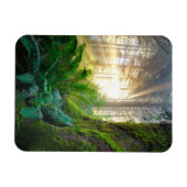 Pazifischer Küstenwald, Oregon Magnet (Horizontal)