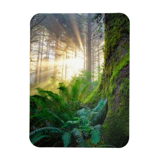 Pazifischer Küstenwald, Oregon Magnet (Vertikal)