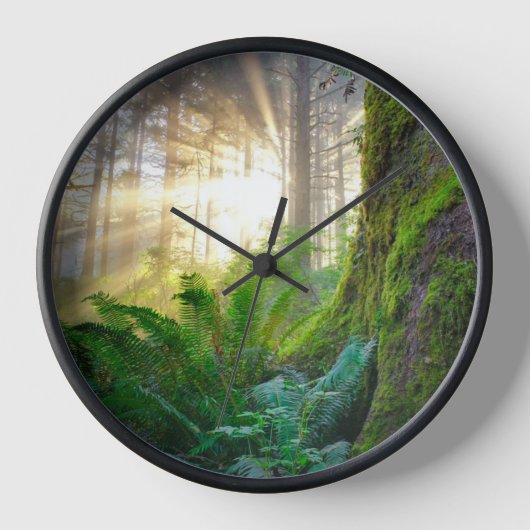 Pazifischer Küstenwald, Oregon Uhr (Vorderseite)