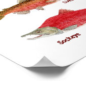 Pazifischer Lachs Art Poster (Ecke)