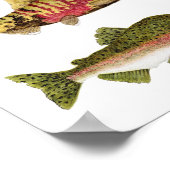 Pazifischer Lachs im Paradies Poster (Ecke)