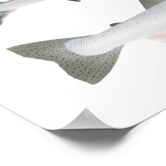 Pazifischer Lachs - Phasen des Ozeans und des Laic Poster (Ecke)