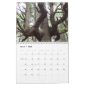 Pazifischer Nordwest-Fotokalender Kalender (Mär 2026)