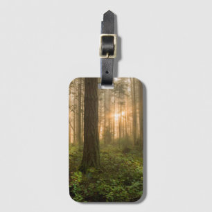 Pazifischer Nordwestnebeliger Morgen des wald  Gepäckanhänger