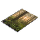 Pazifischer Nordwestnebeliger Morgen des wald| Notizblock (Linke Seite)