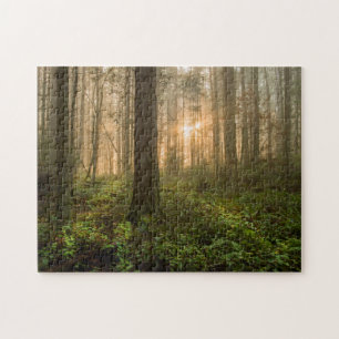 Pazifischer Nordwestnebeliger Morgen des wald  Puzzle