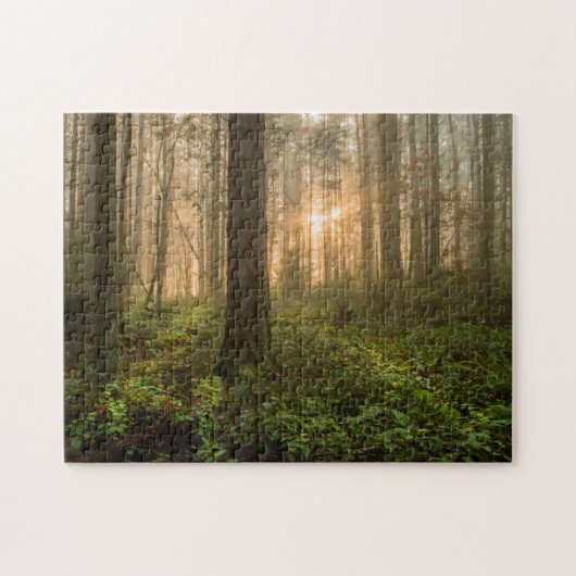 Pazifischer Nordwestnebeliger Morgen des wald| Puzzle (Horizontal)
