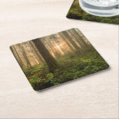 Pazifischer Nordwestnebeliger Morgen des wald| Rechteckiger Pappuntersetzer (angewinkelt)