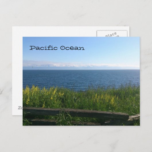 Pazifischer Ozean Postkarte (Vorne/Hinten)