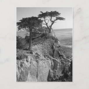 Pazifischer Ozean Postkarte