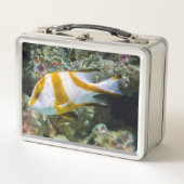 Pazifischer Ozean Red Kaiser Snapper White Brown B Metall Brotdose (Vorderseite)