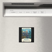 Pazifischer Ozean Wunder Seeotter wunderbare Fakte Magnet (In Situ (Geschirrspüler))