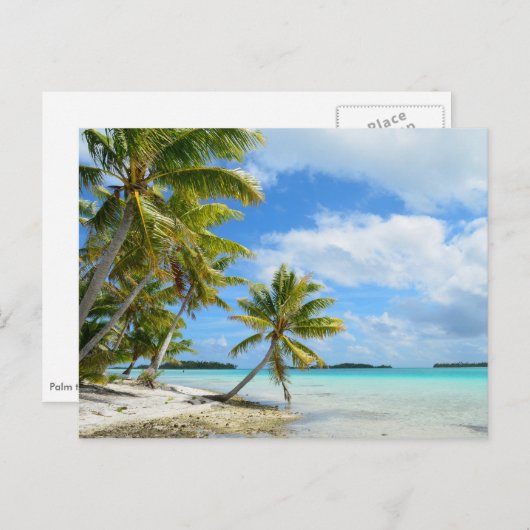 Pazifischer Palmenstrand Postkarte (Vorne/Hinten)