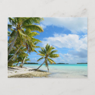 Pazifischer Palmenstrand Postkarte
