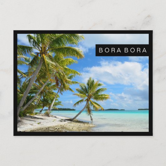 Pazifischer Palmenstrand Postkarte (Vorderseite)