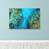 PAZIFISCHER REEF-SHARK 16x24 Leinwanddruck (Insitu (Holzboden))