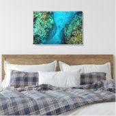 PAZIFISCHER REEF-SHARK 16x24 Leinwanddruck (Insitu (Schlafzimmer))