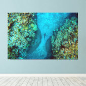 PAZIFISCHER REEF-SHARK 40x60 Leinwanddruck (Insitu (Holzboden))