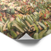 Pazifischer Splendor Poster (Ecke)