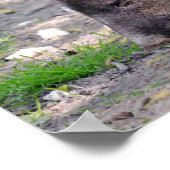 Pazifischer Wallfahrtskirche Postcard Metal Orname Poster (Ecke)