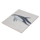 Pazifischer Weiß-Mit Seiten versehener Delphin Fliese (Seite)
