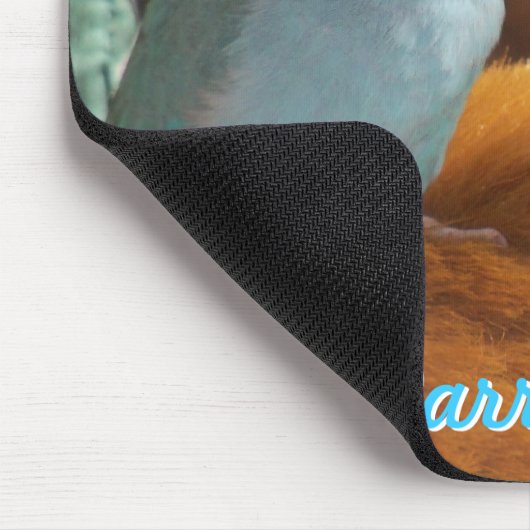 Pazifisches blaues Parrotlets Mousepad (Ecke)