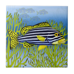 Pazifisches Riff orientalische Sweetlips Fliese