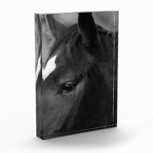 Pba Fotoblock (Links)