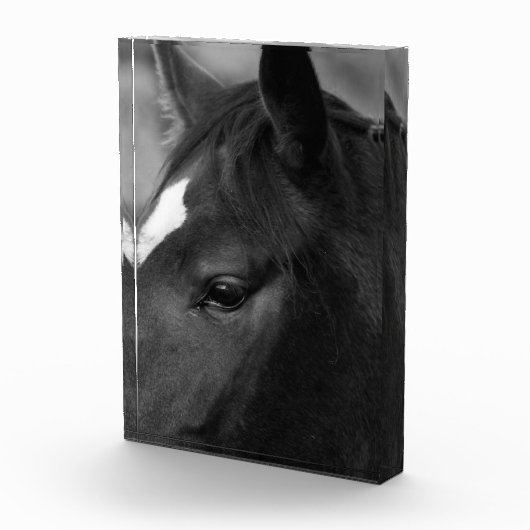 Pba Fotoblock (Rechts)