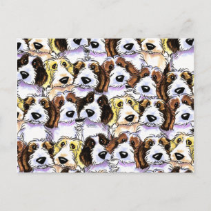 PBGV-Paket Postkarte