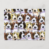 PBGV-Paket Postkarte (Vorderseite)