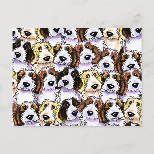 PBGV-Paket Postkarte (Vorderseite)