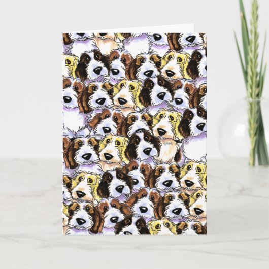 PBGV Satz Karte (Vorderseite)