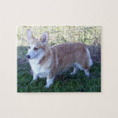 PC Pembroke-WaliserCorgi 110. Puzzlespiel-u. Puzzle (Horizontal)