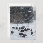 PC Winter Party Ansammlung Treffen Spaß Postkarte (Vorne/Hinten)