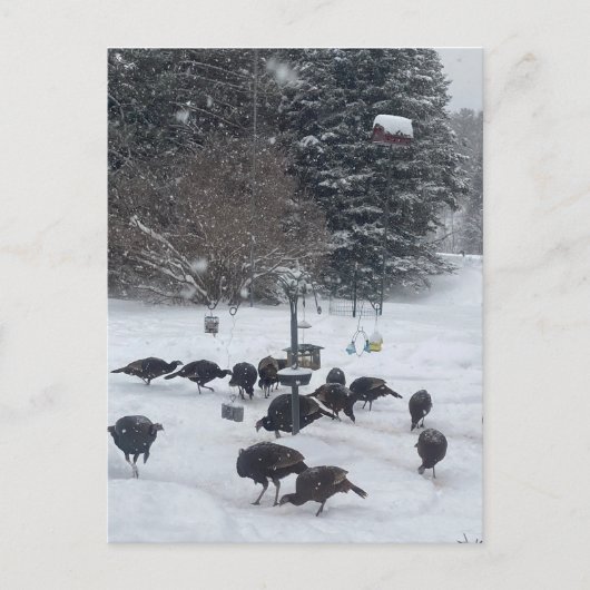 PC Winter Party Ansammlung Treffen Spaß Postkarte (Vorderseite)