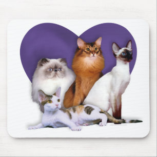 PCBR Mousepad! Mousepad