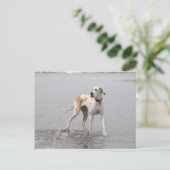 PDXDanes Fynn Postcard 2011 Postkarte (Stehend Vorderseite)