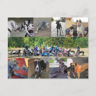 PDXDanes Postcard Postkarte