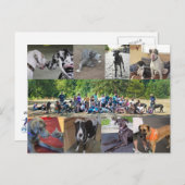 PDXDanes Postcard Postkarte (Vorne/Hinten)