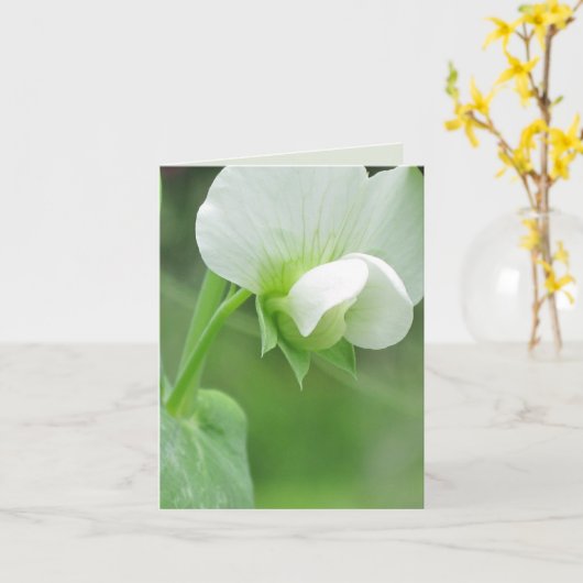Pea Blossoms benutzerdefinierte Notizkarte oder Gr Karte (Gelbe Blume)