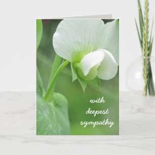 Pea Blüten Beileid Template Grußkarte Karte
