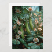 Pea im Pod | Sweet Sprouts Einladung (Vorne/Hinten)