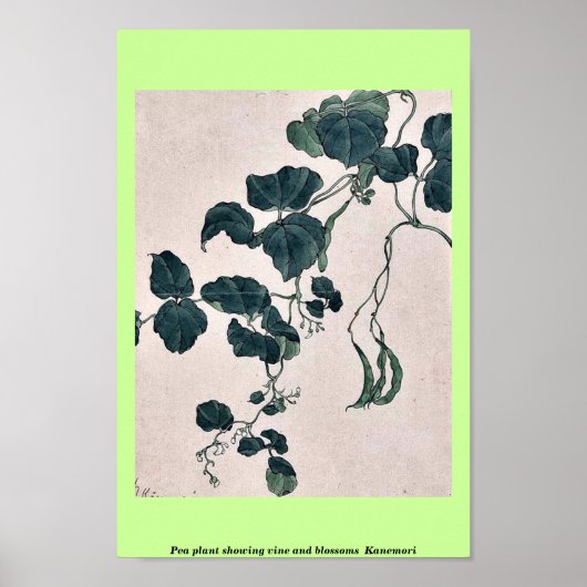 Pea-Pflanze mit Weinrebe und Blüten Kanemori Poster (Vorne)