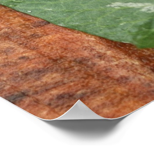 Pea Pod Poster (Ecke)