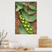 Pea Pod Poster (Küche)